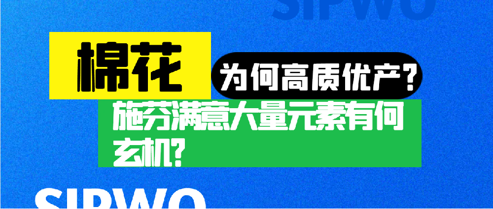 棉花憑啥高產(chǎn)優(yōu)質(zhì)？施芬滿意大量元素有何玄機？